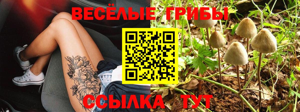 Псилоцибиновые грибы ЛСД  Вход с VPN  Сегежа 