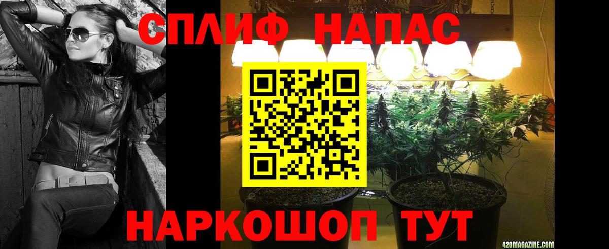 Бошки марихуана план  Вход с VPN  МАРИХУАНА MAZAR  Сегежа  Марихуана гибрид 